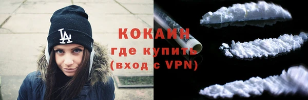 дживик Вязьма
