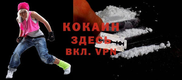 дживик Вязьма