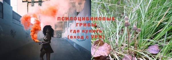 дживик Вязьма