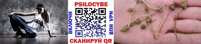 Псилоцибиновые грибы GOLDEN TEACHER  кракен зеркало  Евпатория  где купить наркотик 
